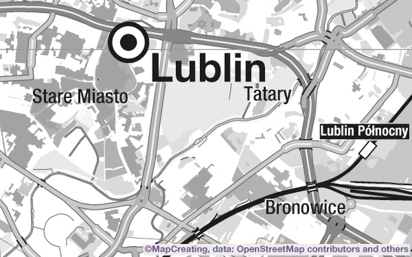 Base custom map of Lublin in 1:100,000 scale. Grayscale background for thematical maps