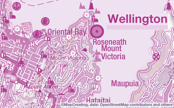 Quasi-topographic map, scale 1:100,000, Wellington, New Zealand, purple manner