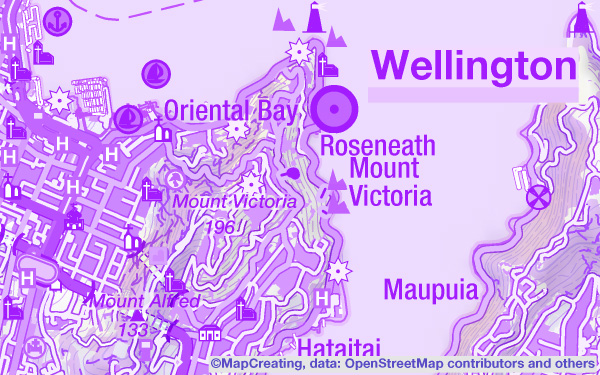 Quasi topographic map of New Zealand in 1:100,000 scale. Detailed map in vivid RGB colors