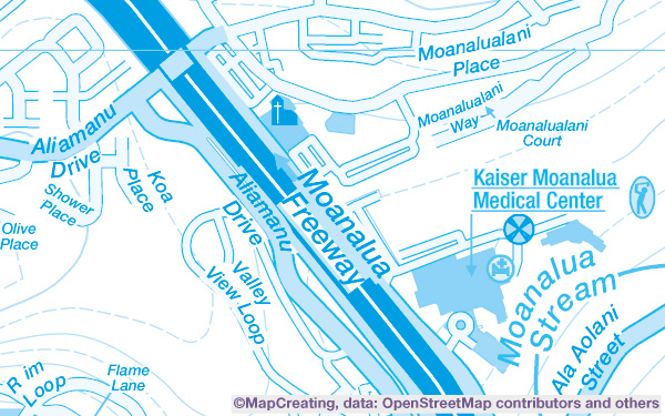 General-purpose reference map of Honolulu in 1:20,000 scale. Background, detailed map for schools