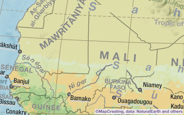 Landscape custom map of Mali in 1:50,000,000 scale. Deserts, semideserts, steppes, mangrovia