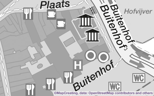 Quasi-topografische kaart, schaal 1:5.000, Den Haag, Nederland, grijze uitvoering